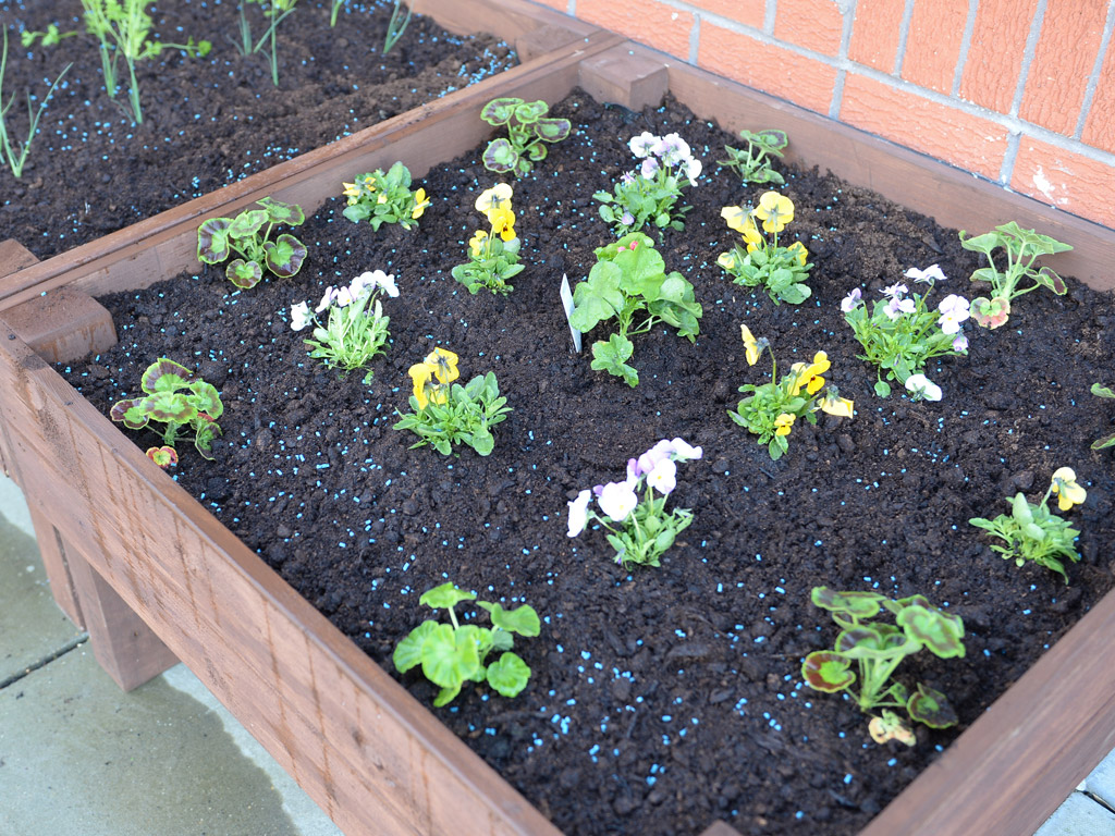 Garden Boxes