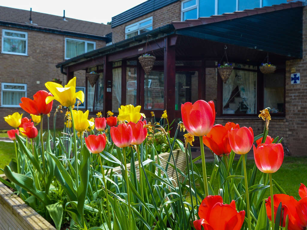 Millheath Flowers